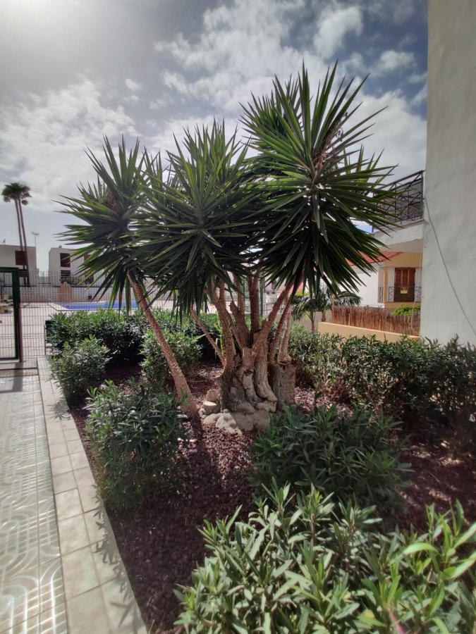 Apartment Soleil Altamar Playa de las Americas  Exterior photo